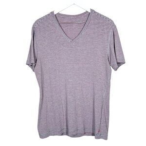 Lululemon Mens Gray and Red Striped Vneck Workout Short Sleeve Tee Shirt